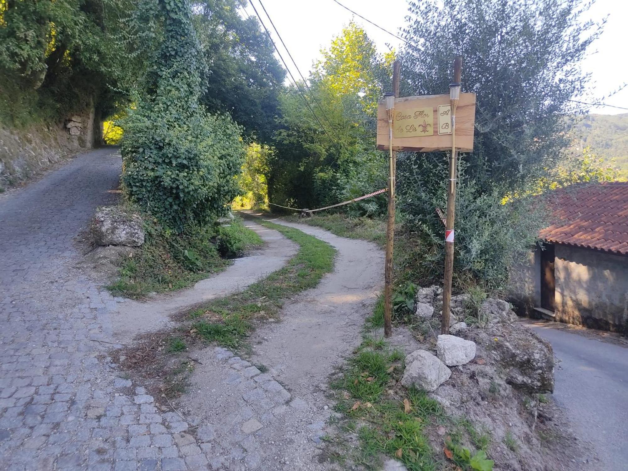 Quinta Flor De Lis, Geres Βίλα Vieira do Minho Εξωτερικό φωτογραφία